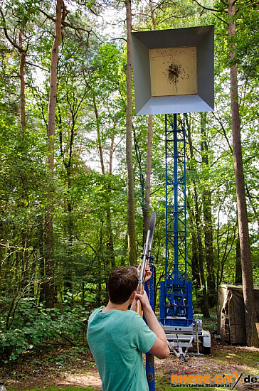 Galerie: Vogelstange Junggesellen 2014 / Bild: Vogelstange-Junggesellen-2014-085_DSC0627.jpg