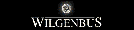 http://www.juwelier-wilgenbus.de - 